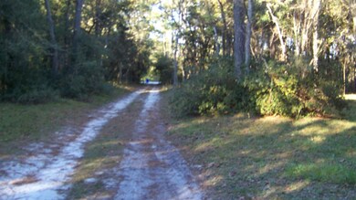 5501 County Road 208, St. Augustine, FL 32092 - photo 2