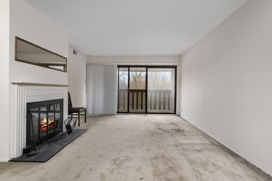 2-web-or-mls-DSC03696