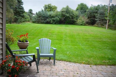 Another view of the backyard.