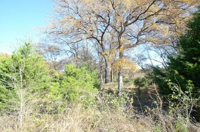 10.5 Ac Texas 289, Pottsboro, TX 75076 - photo 3