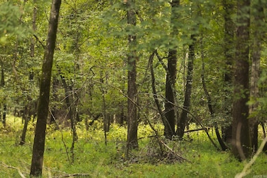 TBD Forrest Rd Fields, Malvern, AR 72104 - photo 7