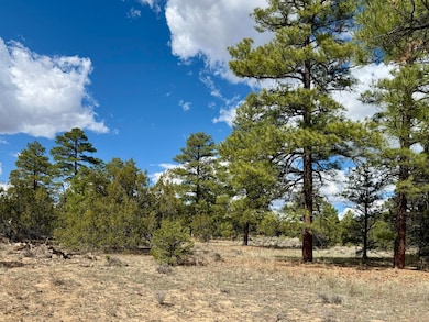 17 Hastings Loop, Ramah, NM 87321 - photo 3