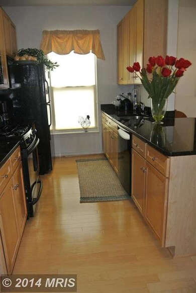 8045 Newell St unit 207, Silver Spring, MD 20910 - photo 4