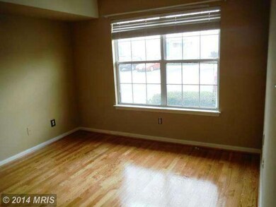 16206 Ellipse Terrace, Bowie, MD 20716 - photo 6