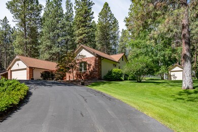 381Ponderosa-2105