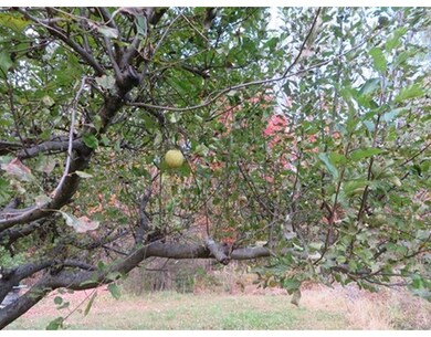 109 West St, Wendell, MA 01379 - photo 6