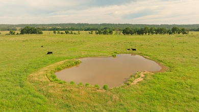 40336 E1290 Rd, McCurtain, OK 74944 - photo 3