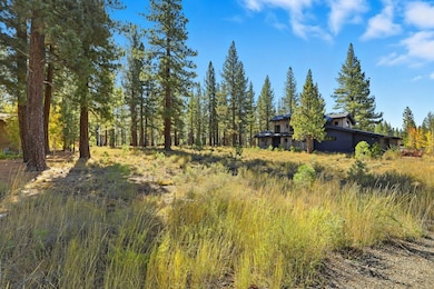 11111 Henness Rd, Truckee, CA 96161 - photo 4