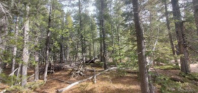 Lot 3246 Zipf Ln unit 3246, Fort Garland, CO 81133 - photo 4