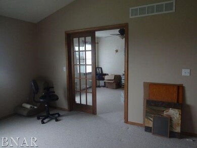 13 Quail Ct, Downs, IL 61736 - photo 4