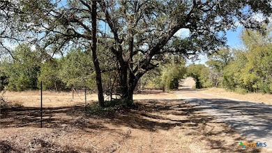 0 Cr 223 unit 502402, Kempner, TX 78639 - photo 4