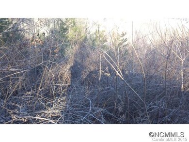 102 Balsamwood Dr unit 23, Leicester, NC 28748 - photo 4