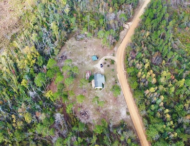 99 Joe Hester Rd, Hazlehurst, GA 31539 - photo 2