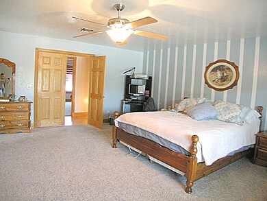 MASSIVE MASTER BEDROOM