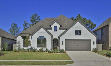 15111 Botanical Garden Dr, Conroe, TX 77302 - photo 3