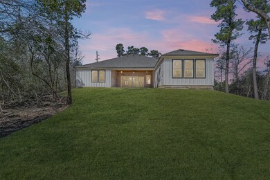 25218 Melanie Pointe, Tomball, TX 77375 - photo 5