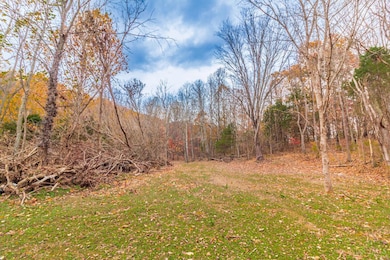 1186 Tulip Rd, Lynx, OH 45650 - photo 2