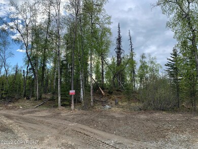 L3 B2 W Kelsi Loop, Wasilla, AK 99623 - photo 2