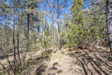 000 Smith Rd, Roundup, MT 59072 - photo 5
