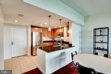 Midtown Alexandria Station Condominiums unit 1309, Alexandria, VA 22303 - photo 7