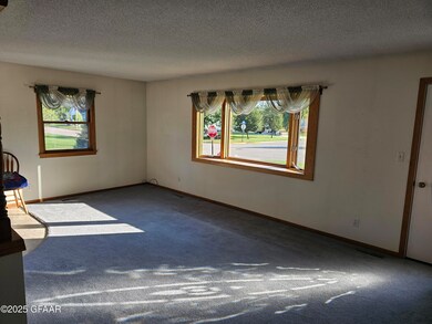 909 Bradford Ave, Argyle, MN 56713 - photo 5