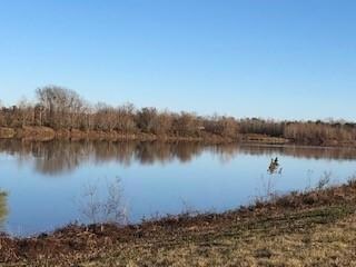 View across the Red River