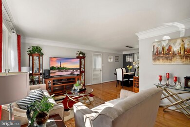 14404 Gaines Ave, Rockville, MD 20853 - photo 4