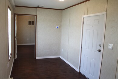 Bright sunny living room