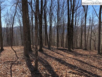 Selective tree cutting would open up a huge view a