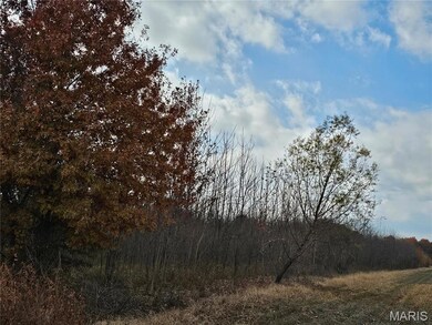 620 County Rd, Broseley, MO 63932 - photo 3