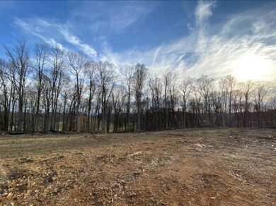 Screen Shot 2020-03-03 at 8.05.50 AM