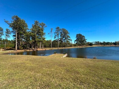 1000 Millen Hiltonia Rd, Hiltonia, GA 30467 - photo 6