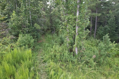 00 Scenic Lane (Lot 183), Granite Falls, NC 28630 - photo 5