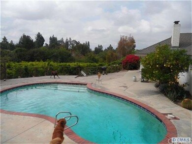 Pool/Patio Views