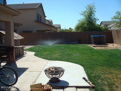 back yard 2