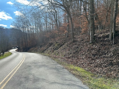 TBD N Fork Rd, Patsey, KY 40380 - photo 5