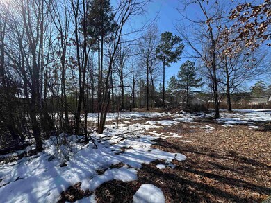 13513 Otter Creek, Little Rock, AR 72210 - photo 2