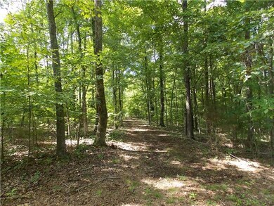 0 Hurricane Creek unit RTC1573124, Linden, TN 37096 - photo 3