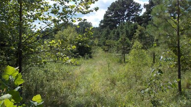 0 County Road 422, Epps Township, MO 63901 - photo 4