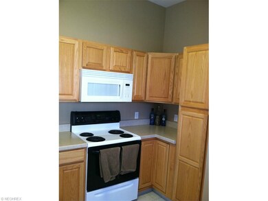 Abundant cabinets in the kitchen