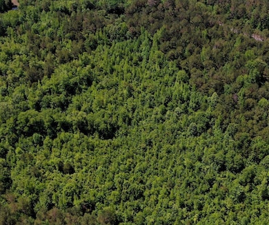 + - 69 Acres unit Calhoun County MS, Bruce, MS 38915 - photo 5