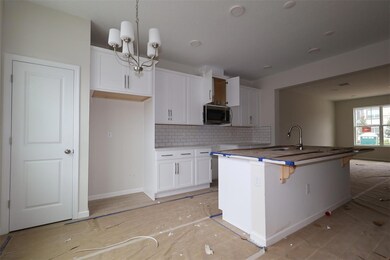 591 Pothos St, Apopka, FL 32703 - photo 2