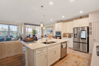 24528 W Alexis Ln, Plainfield, IL 60585 - photo 5