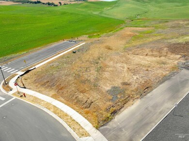 Bird's eye view of a golf club