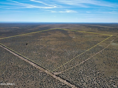 XXXX Spurlock Side Road W --, Holbrook, AZ 86025 - photo 4