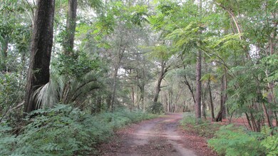 6435 Coquina Ln, Keystone Heights, FL 32656 - photo 3