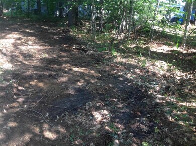 0 Birchwood Farm Rd, Freedom, NH 03836 - photo 3