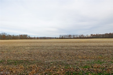 12160 Harvey Cir, Chippewa Township, OH 44270 - photo 7