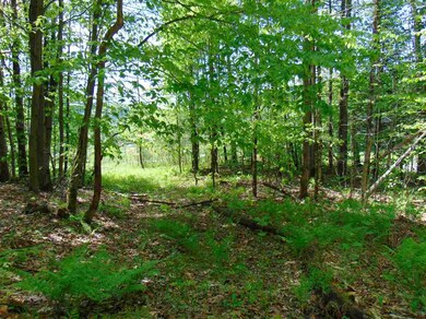 00 Goss Hill Rd, Barnet, VT 05821 - photo 5