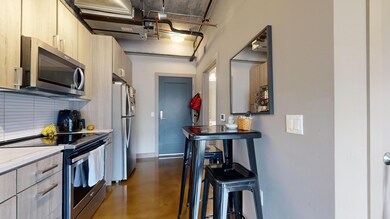 728 3rd St N unit 502, Minneapolis, MN 55401 - photo 2